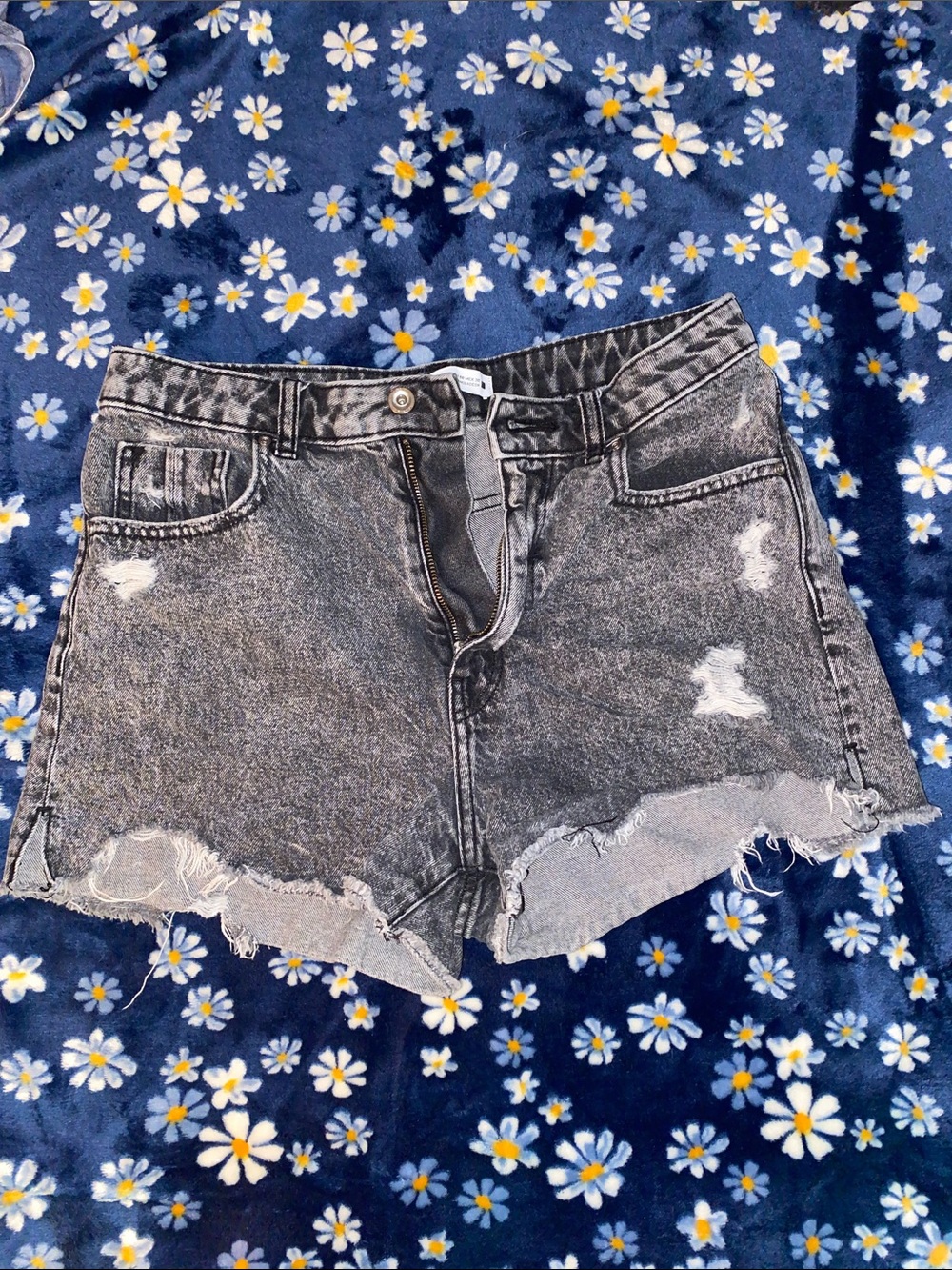 ZARA shorts